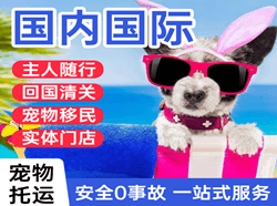 包头机场货运国际宠物托运 【国